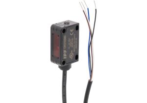 OR310300